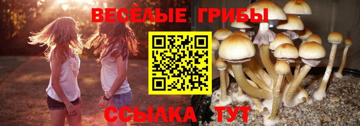 МЕФ Миасс