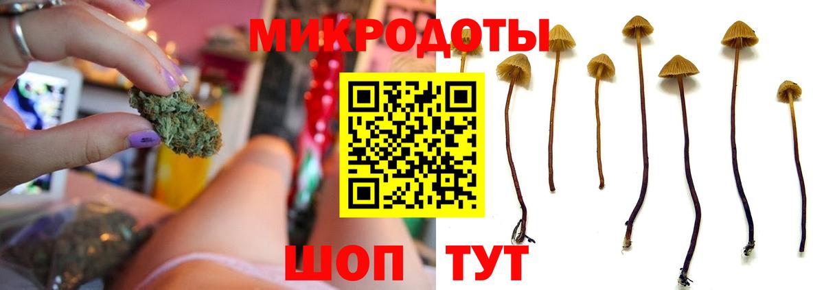 Псилоцибиновые грибы мицелий  Вход с VPN  Миасс  Галлюциногенные грибы Psilocybine cubensis 